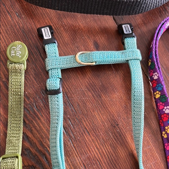 Black and Blue Cat Collars and Leashes Set - Picture 3 of 4